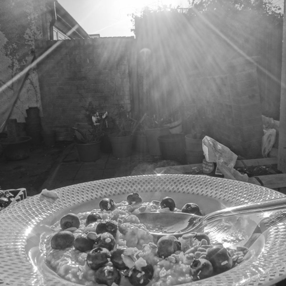bowl of porridge in the sunshint